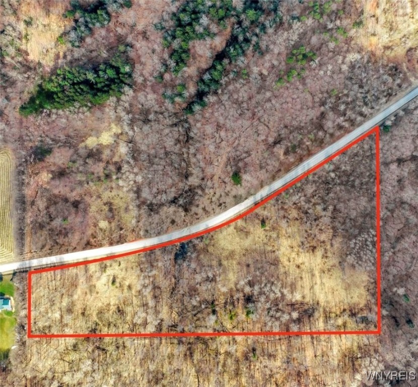 9306 Snake Run Road East Otto, NY 14729 - Photo 37 of 38 Catt. Co. GIS aerial, improvements not shown