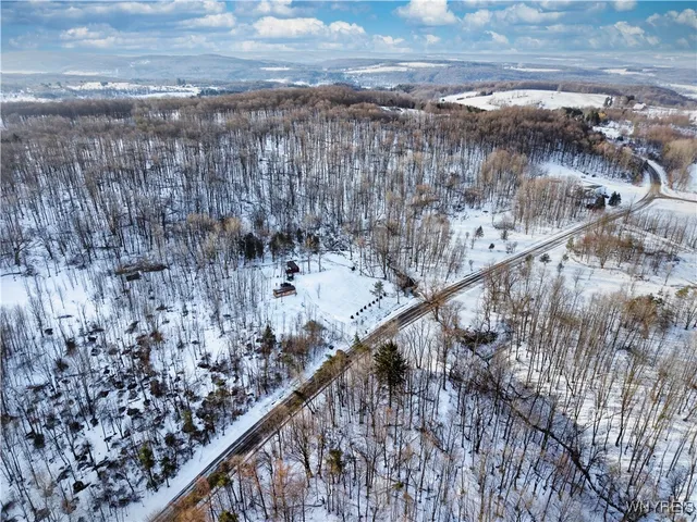 $114,900 | 9306 Snake Run Road, East Otto, NY 14729