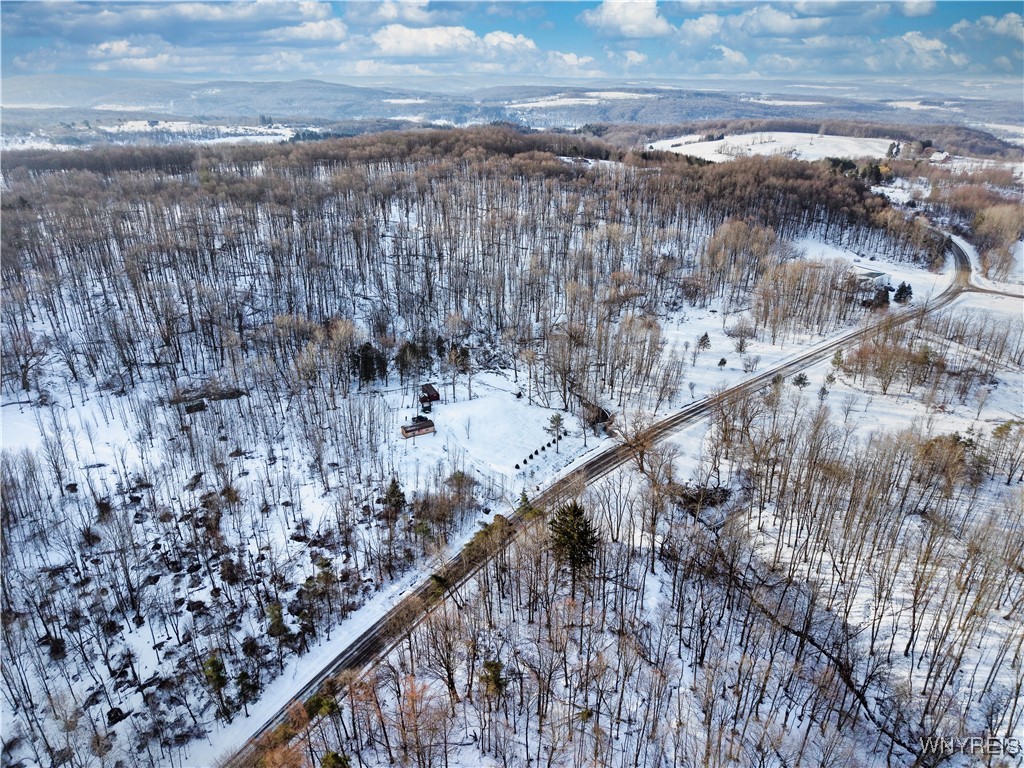 9306 Snake Run Road East Otto, NY 14729 - Photo 4 of 38