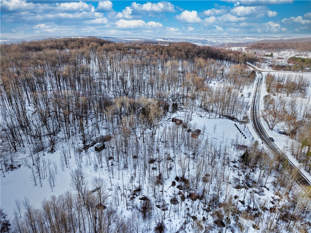9306 Snake Run Road East Otto, NY 14729 - Photo 5 of 38