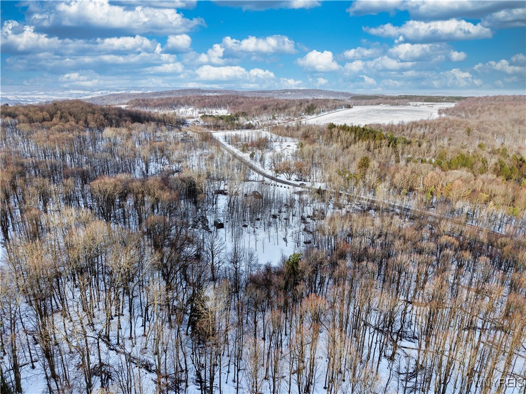 9306 Snake Run Road East Otto, NY 14729 - Photo 6 of 38