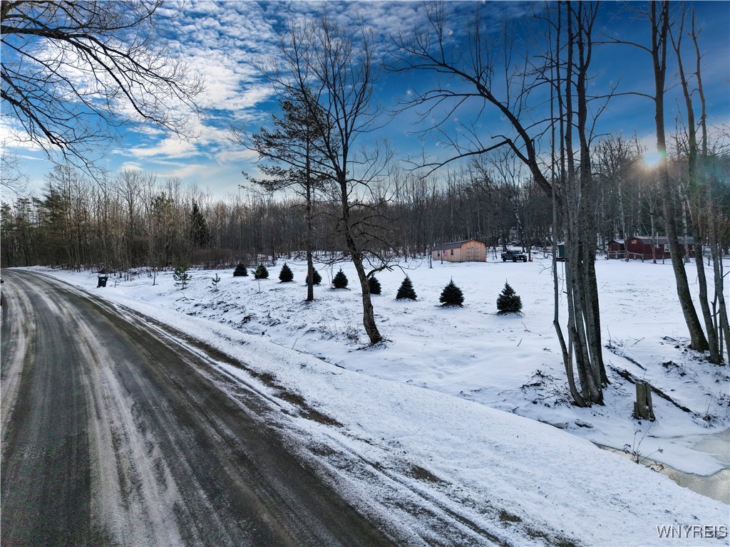 9306 Snake Run Road East Otto, NY 14729 - Photo 7 of 38