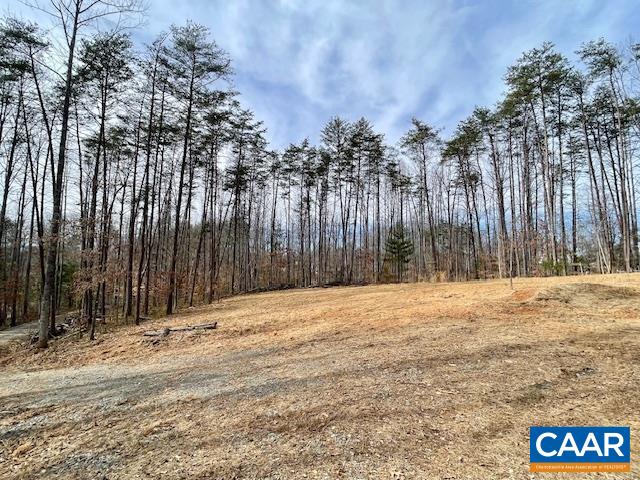 123 Keasley Lane Ruckersville, VA 22968 - Photo 28 of 29 Private from road