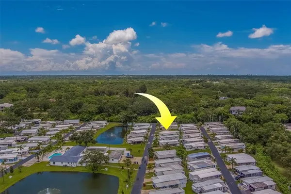 a view of a bunch of trees