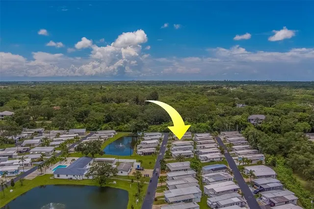 a view of a bunch of trees