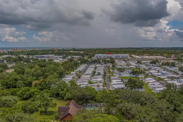 a wooden floor with plants