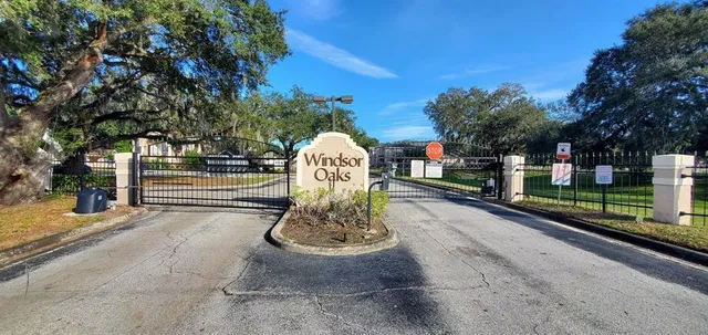 a view of a park with large trees