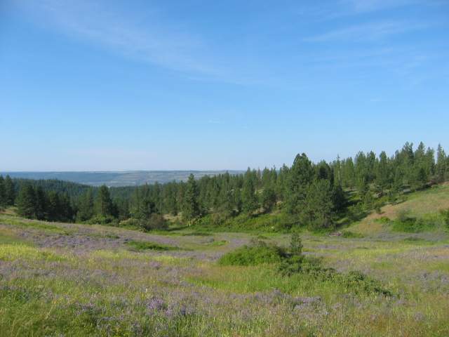 0 Ridge Way, Unit LOT 10 Deer Park, WA 99006 - Photo 2 of 7 Gallery Image 2