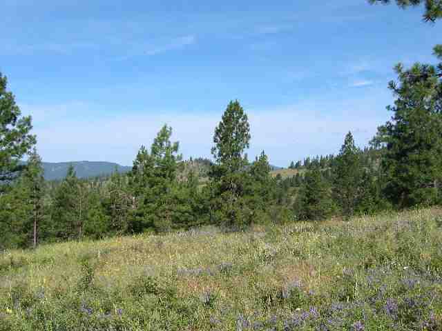 0 Ridge Way, Unit LOT 10 Deer Park, WA 99006 - Photo 5 of 7 Gallery Image 5