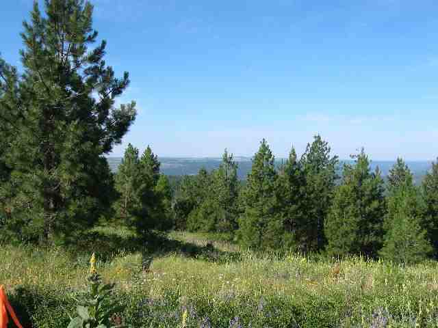 0 Ridge Way, Unit LOT 10 Deer Park, WA 99006 - Photo 7 of 7 Gallery Image 7
