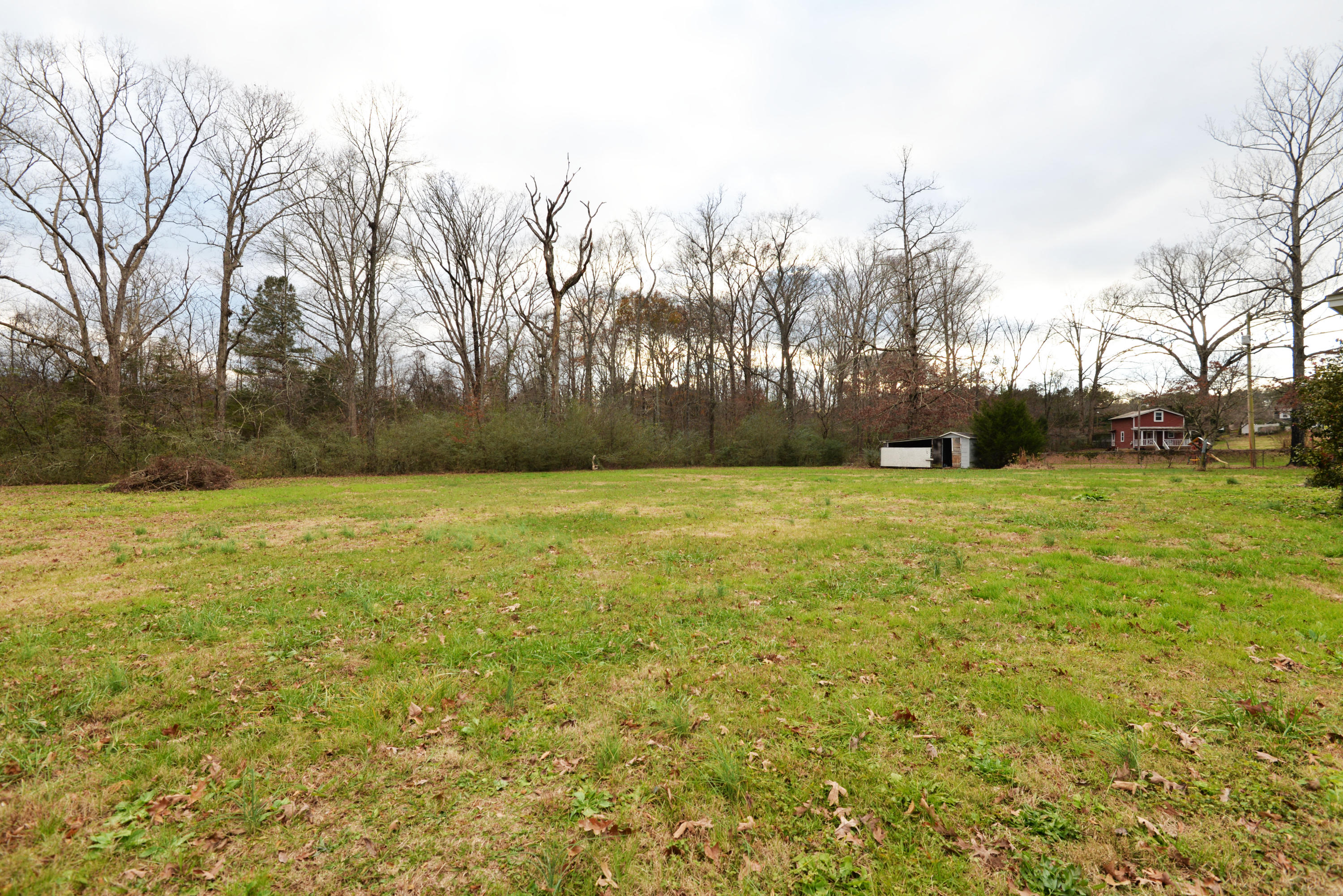 3173 Happy Valley Road Rossville, GA 30741 - Photo 22 of 25 Back yard view 1