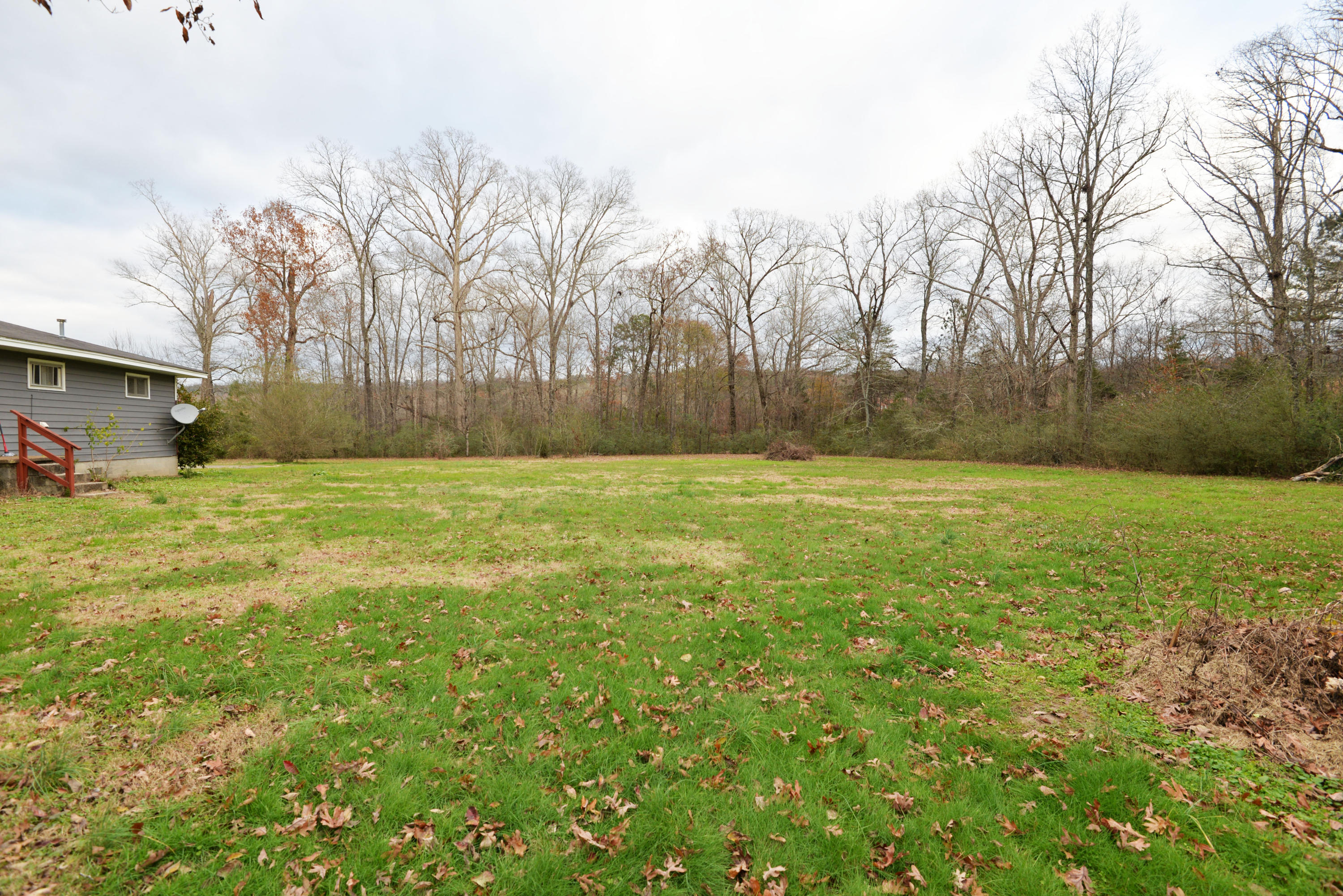 3173 Happy Valley Road Rossville, GA 30741 - Photo 23 of 25 Back yard view 2