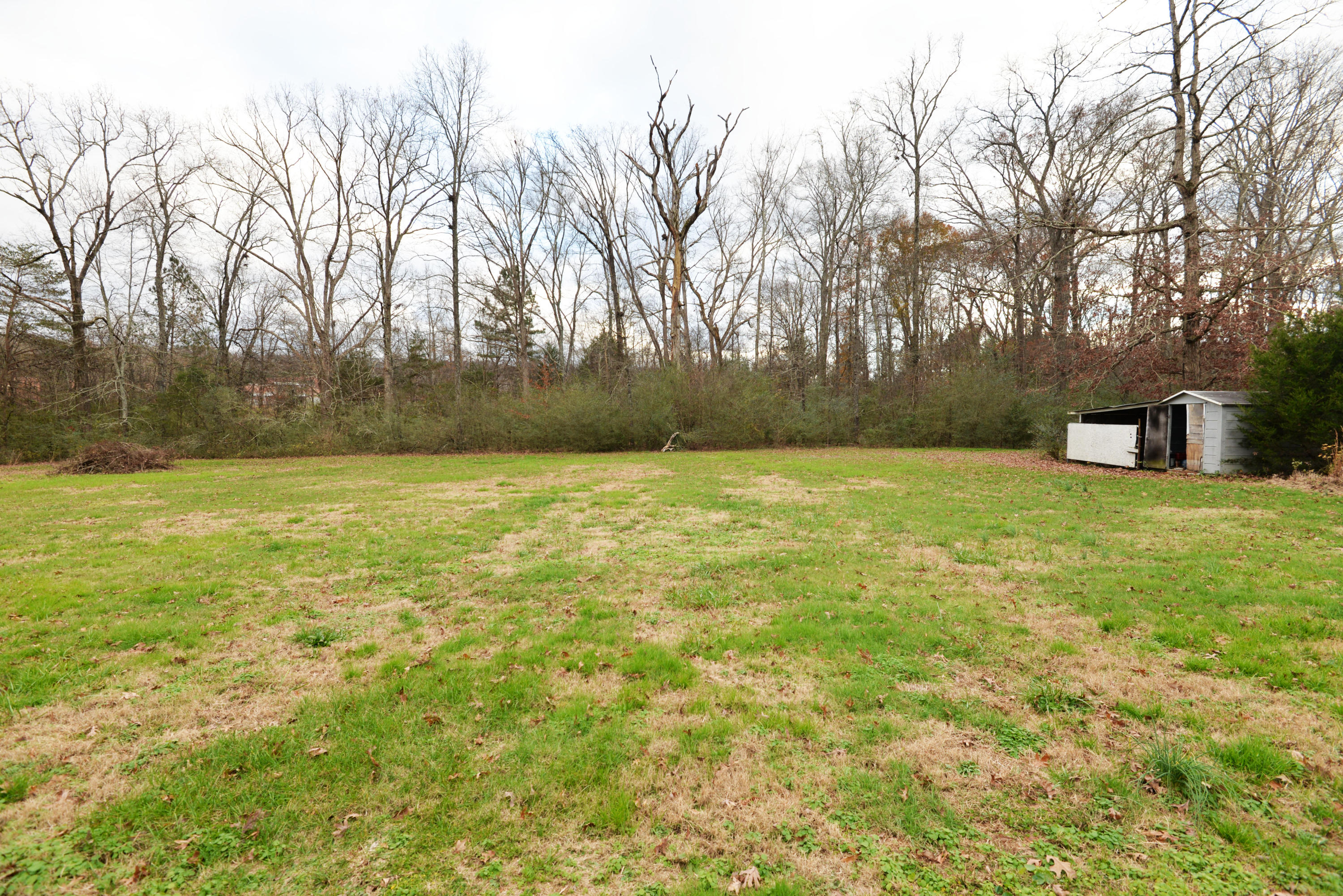 3173 Happy Valley Road Rossville, GA 30741 - Photo 24 of 25 Back yard view 3