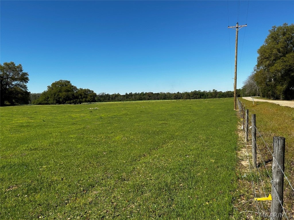 2.49-acres Ramer Loop Cottonwood, AL 36320 - Photo 5 of 8 Gallery Image 5