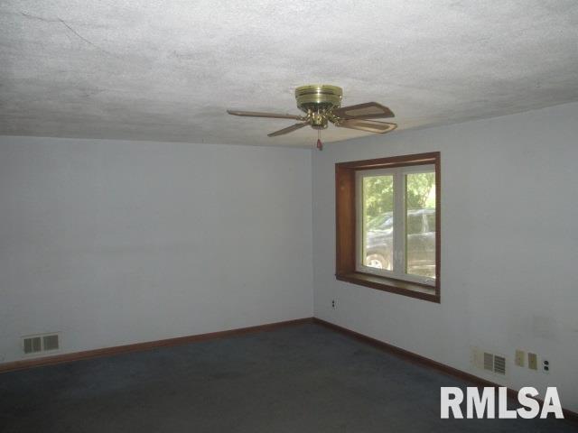 503 4th Street Colona, IL 61241 - Photo 4 of 11 Gallery Image 4