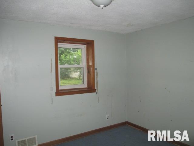 503 4th Street Colona, IL 61241 - Photo 6 of 11 Gallery Image 6