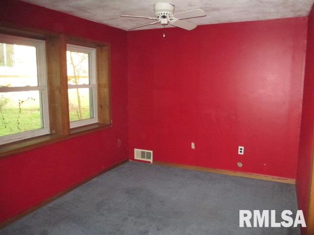 503 4th Street Colona, IL 61241 - Photo 7 of 11 Gallery Image 7