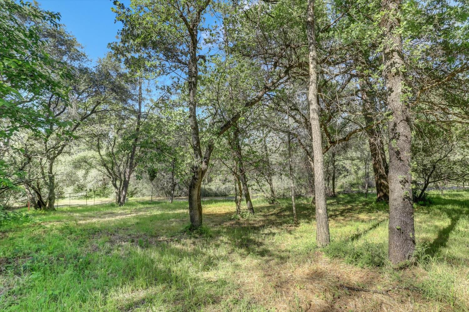 10360 Melody Road Smartsville, CA 95977 - Photo 50 of 89