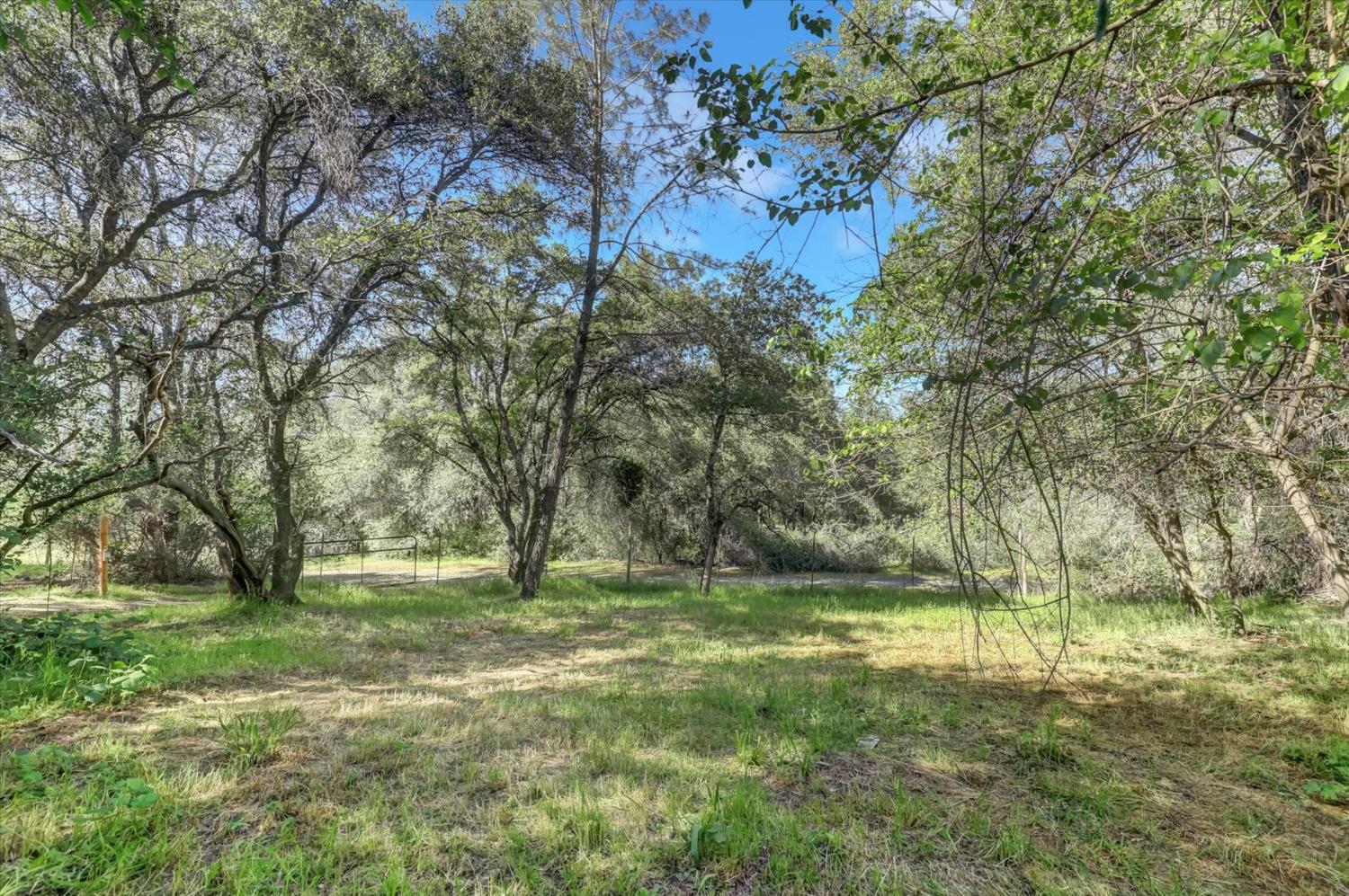 10360 Melody Road Smartsville, CA 95977 - Photo 52 of 89