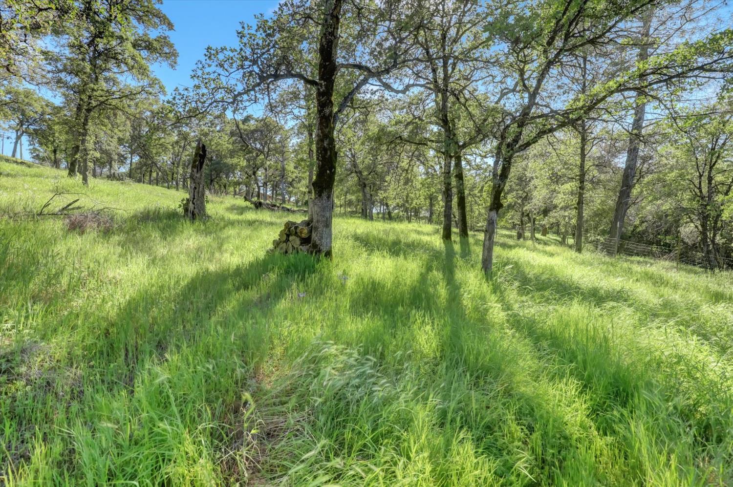 10360 Melody Road Smartsville, CA 95977 - Photo 55 of 89