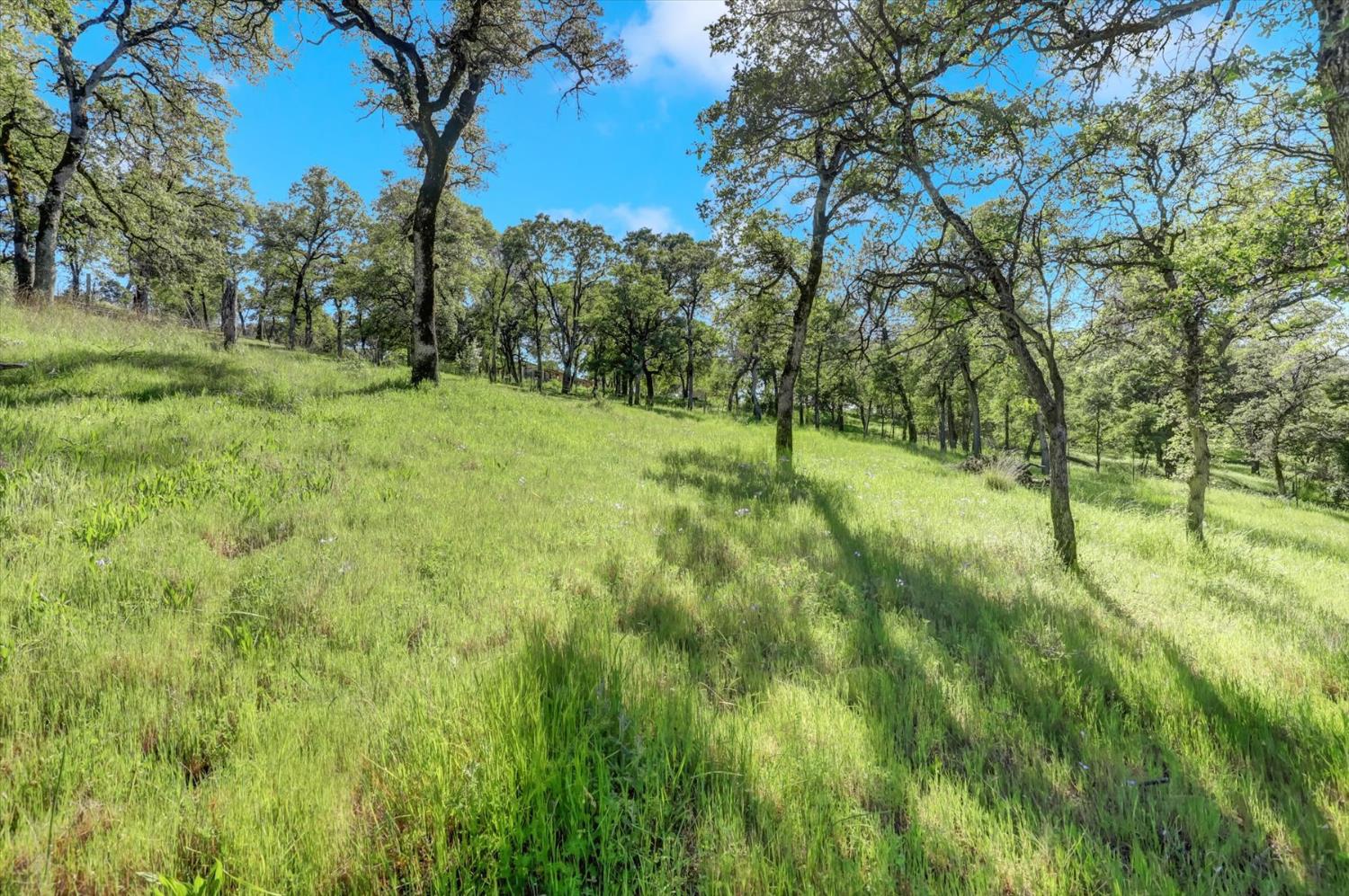 10360 Melody Road Smartsville, CA 95977 - Photo 56 of 89