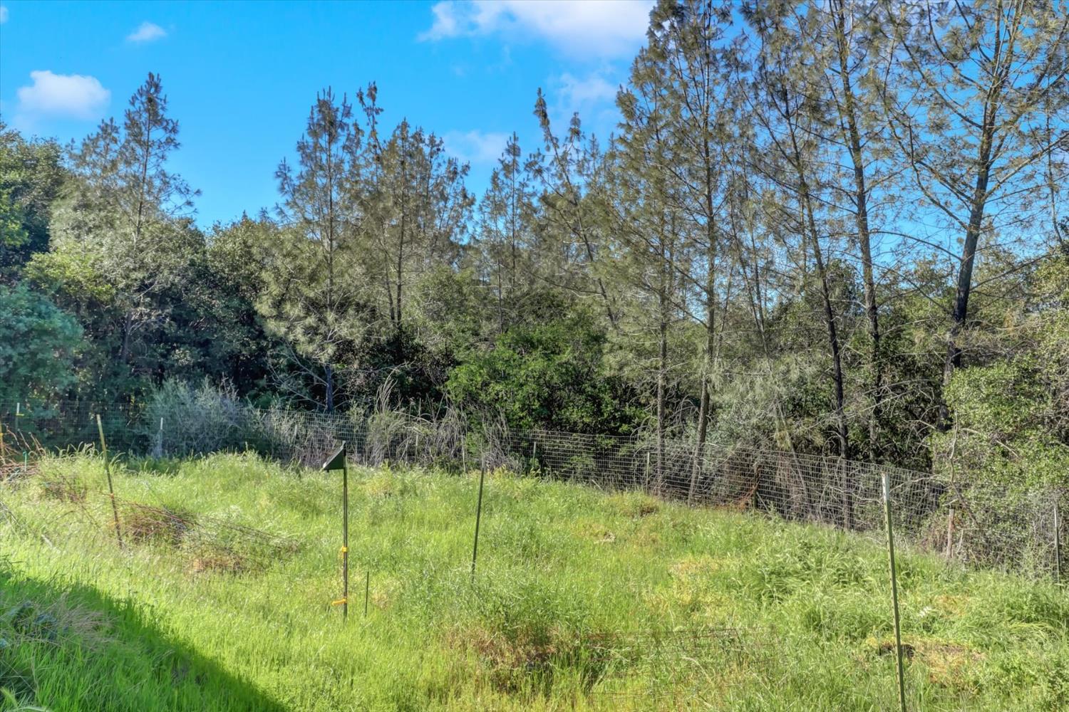 10360 Melody Road Smartsville, CA 95977 - Photo 62 of 89