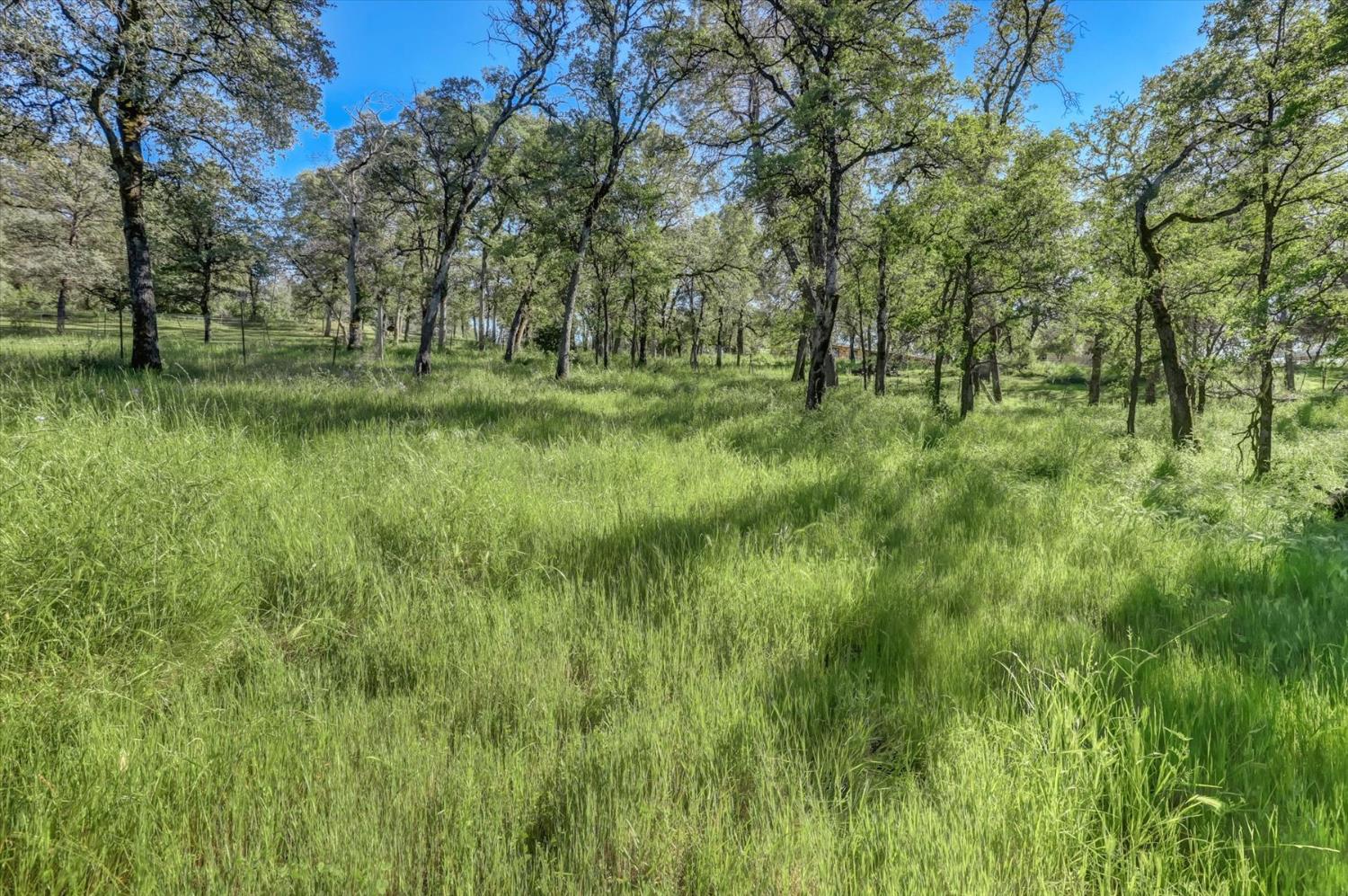 10360 Melody Road Smartsville, CA 95977 - Photo 65 of 89