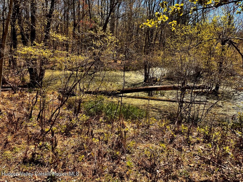 1104 Cold Spring Road Milan, NY 12514 - Photo 11 of 29 Photo Apr 28 2025, 1 05 40 PM