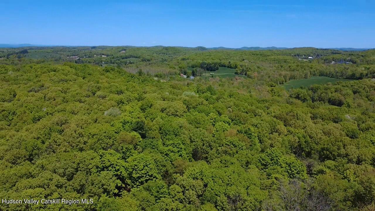 1104 Cold Spring Road Milan, NY 12514 - Photo 17 of 29 2025-05-11-12-14-44-308 - Copy