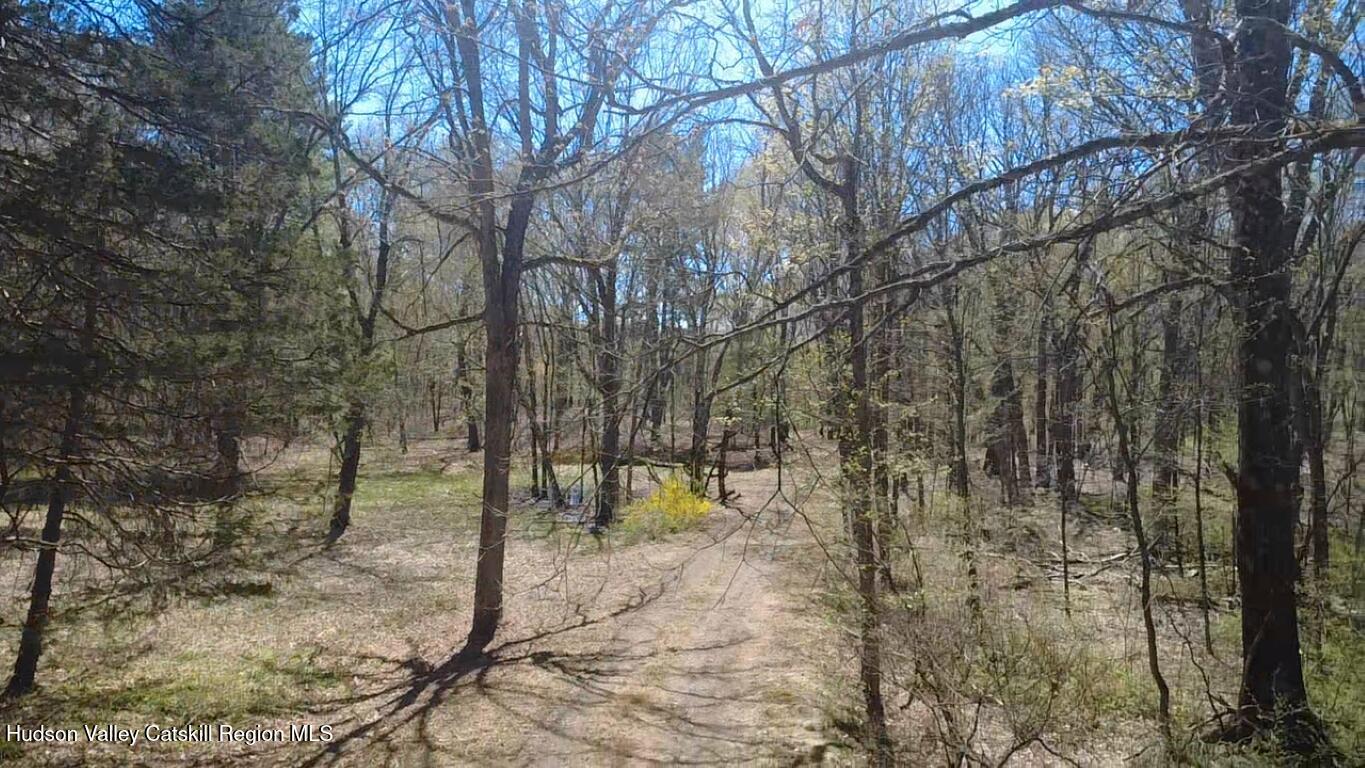 1104 Cold Spring Road Milan, NY 12514 - Photo 21 of 29 2025-04-28-12-34-58-612