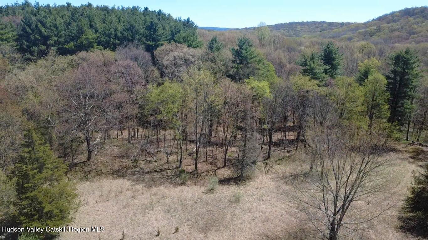 1104 Cold Spring Road Milan, NY 12514 - Photo 6 of 29 2025-04-28-12-27-00-713