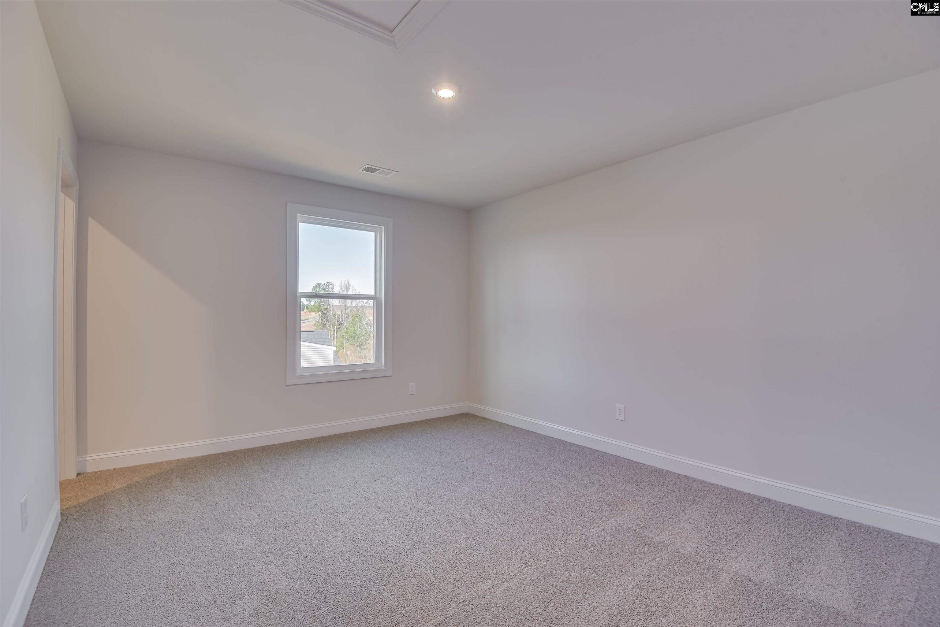 617 Basalt Court Chapin, SC 29036 - Photo 28 of 46