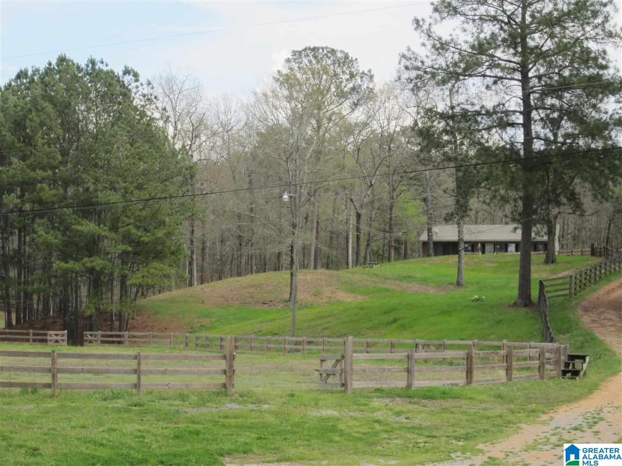 8460 Wolf Creek Road South Pell City, AL 35128 - Photo 1 of 49