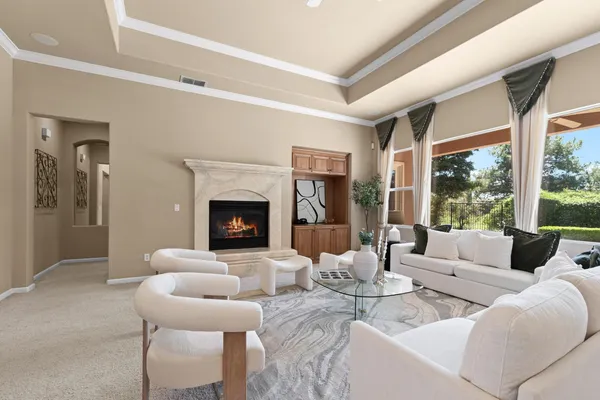 a living room with furniture a potted plant and a fireplace