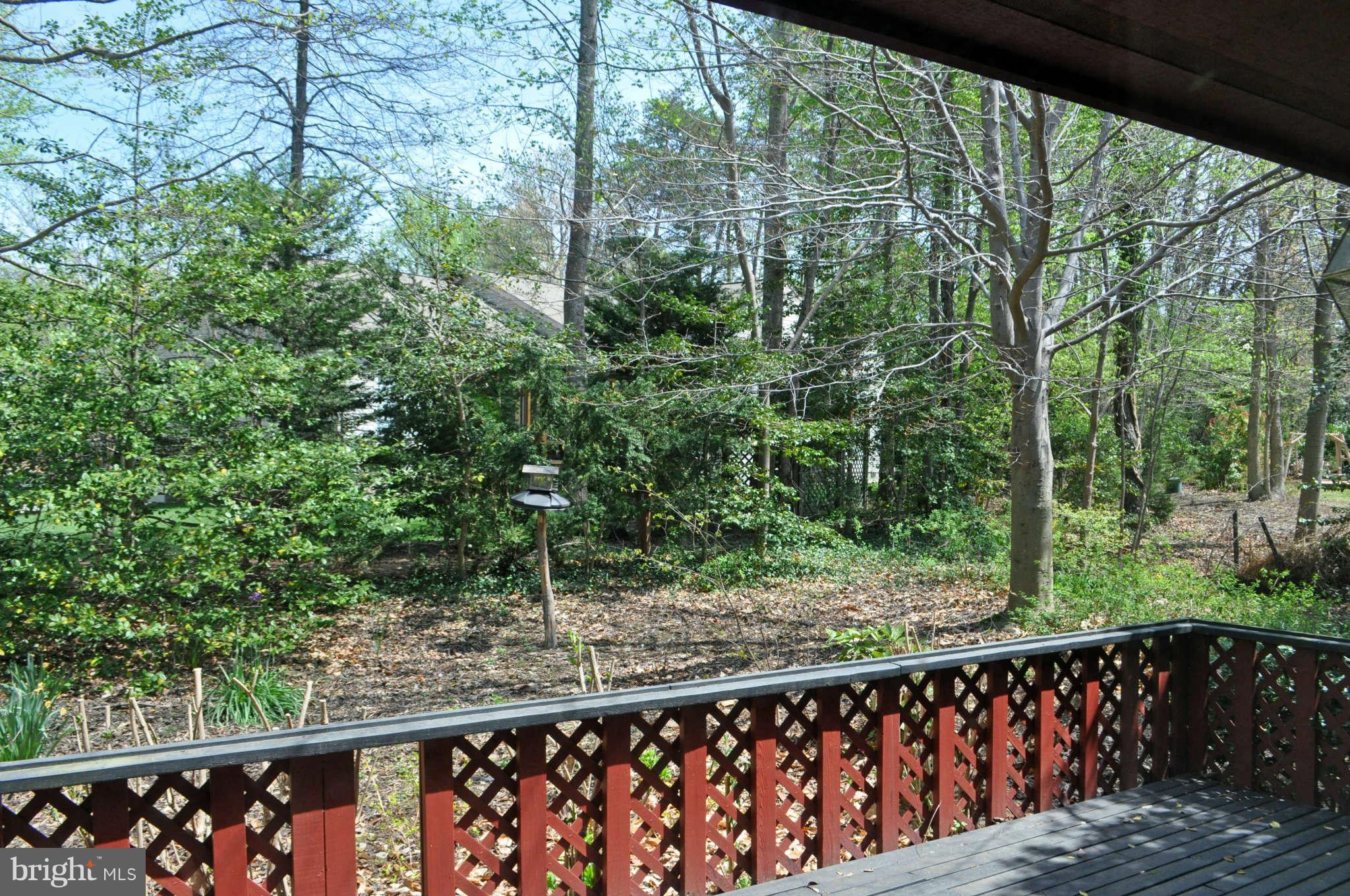 View from Back Deck