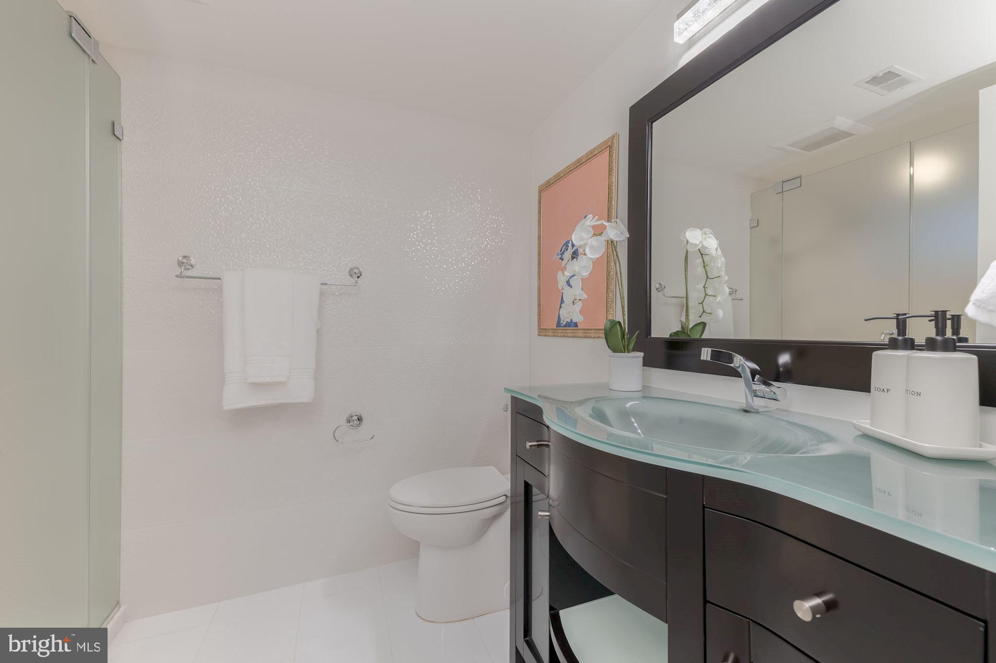 2410 Tunlaw Road Northwest Washington, DC 20007 - Photo 16 of 20 Lower Level Bathroom