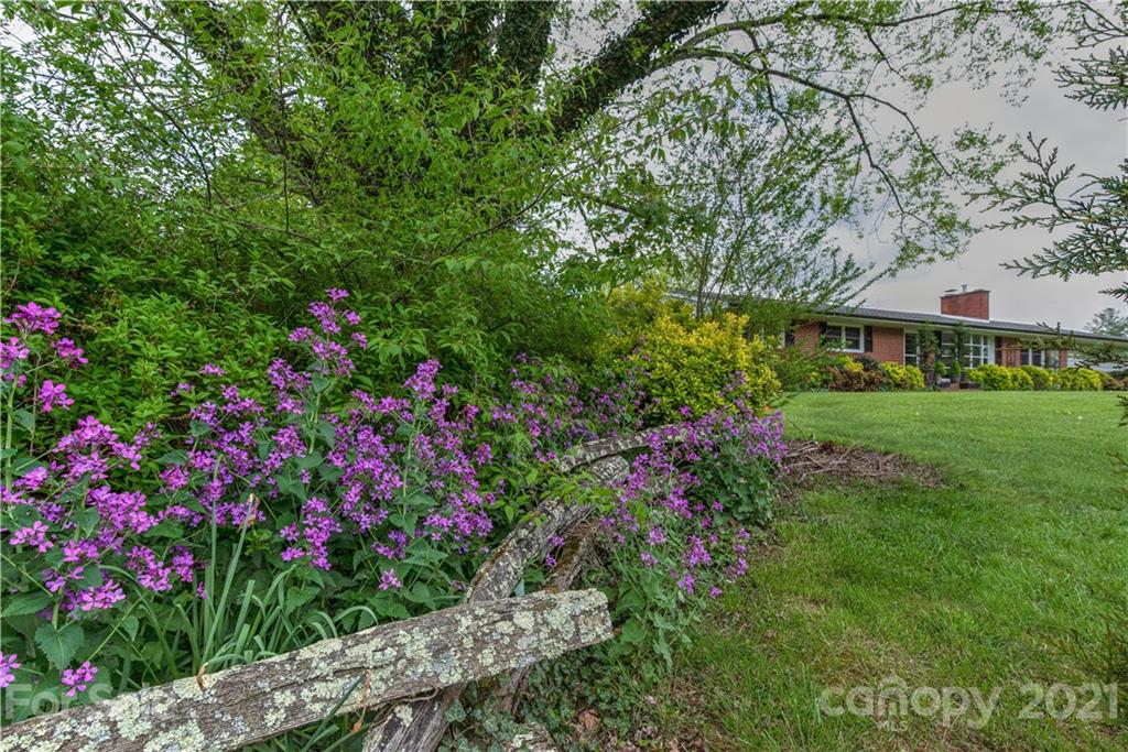 208 Wells Road Canton, NC 28716 - Photo 12 of 35 a view of a garden with flowers and trees