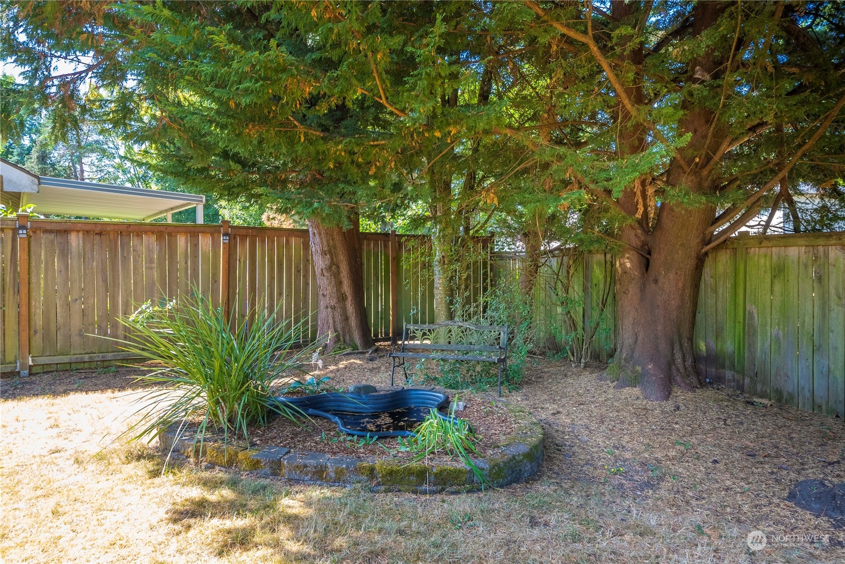 5451 Park Pl Loop Southeast Lacey, WA 98503 - Photo 27 of 36 a view of a backyard with plants and large trees
