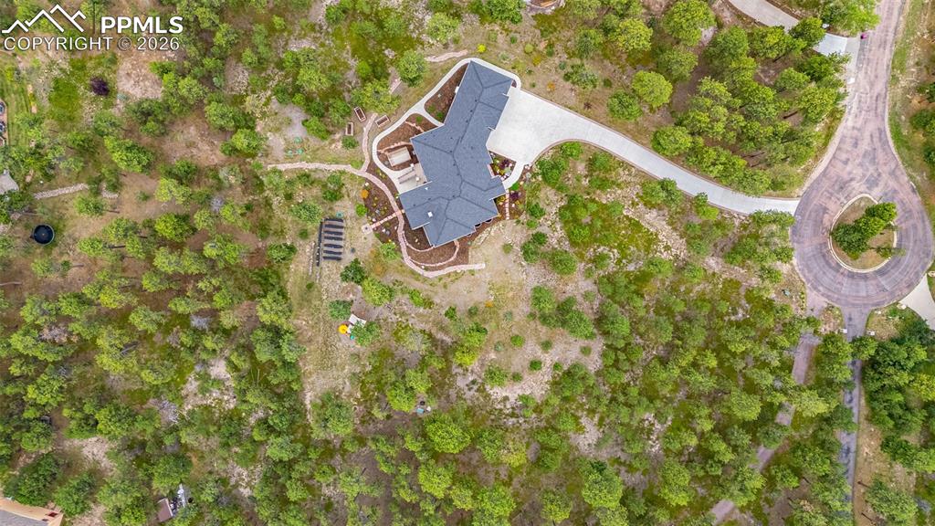 1325 Boldmere Court Monument, CO 80132 - Photo 46 of 49