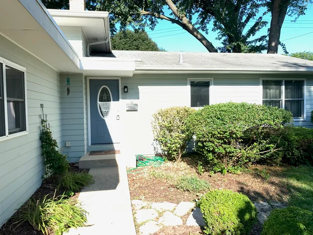 a view of outdoor space with a lot of flower plants