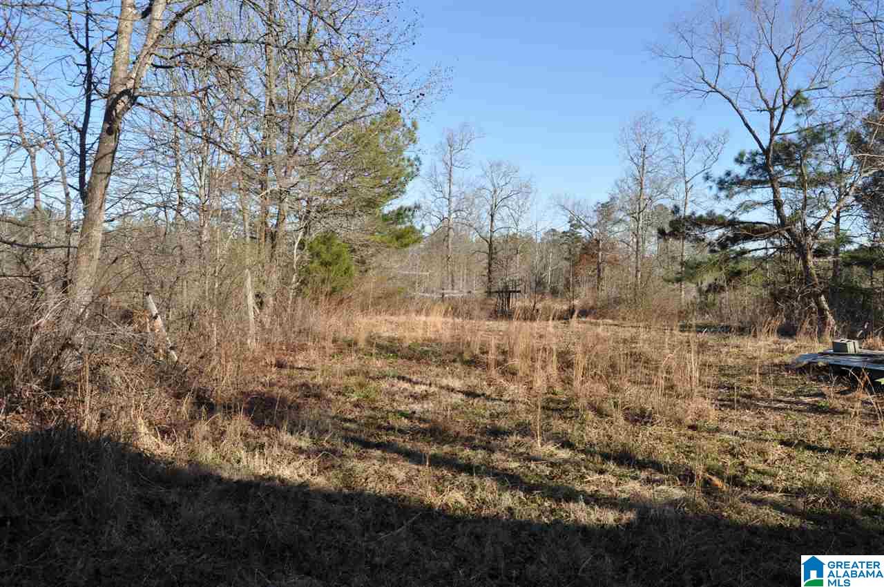990 Thompson Road Ohatchee, AL 36271 - Photo 25 of 38 Gallery Image 25