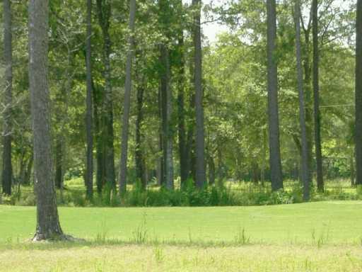 0 Carter Trace Springfield, LA 70462 - Photo 2 of 5