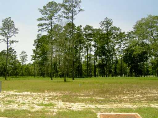 0 Carter Trace Springfield, LA 70462 - Photo 3 of 5