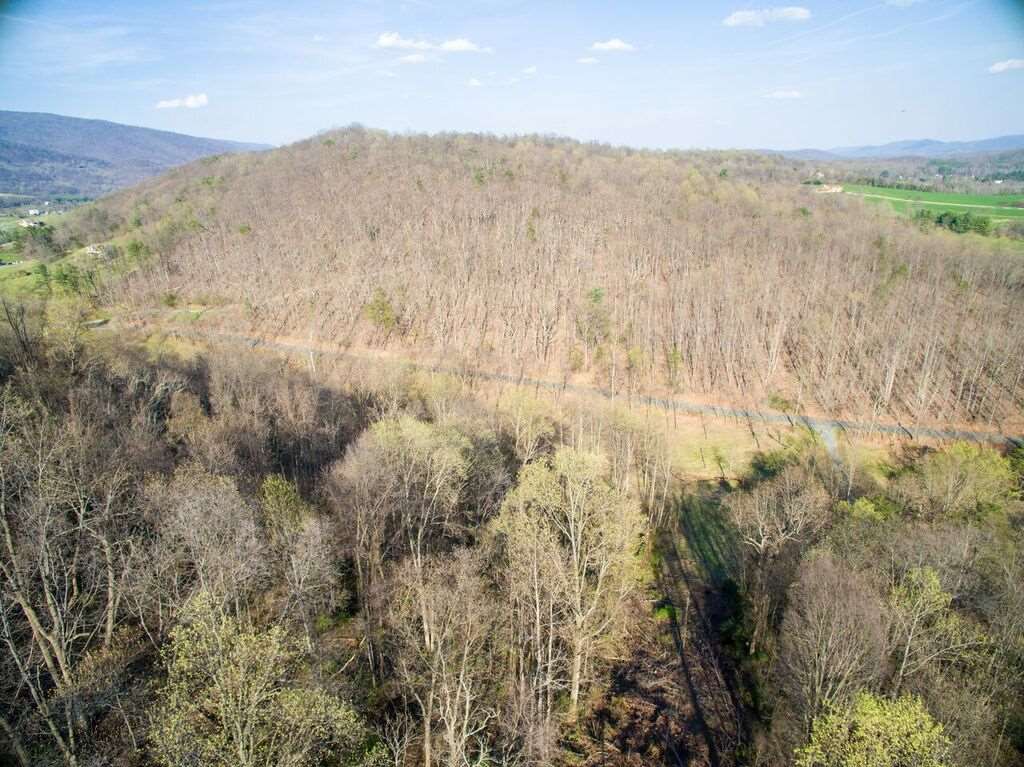 8907 Dick Woods Road Afton, VA 22920 - Photo 12 of 19 a view of mountain with trees