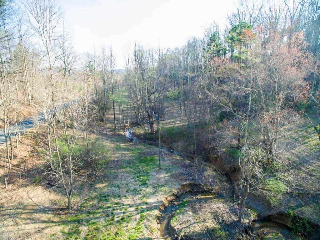 8907 Dick Woods Road Afton, VA 22920 - Photo 5 of 19 a view of a forest that has large trees