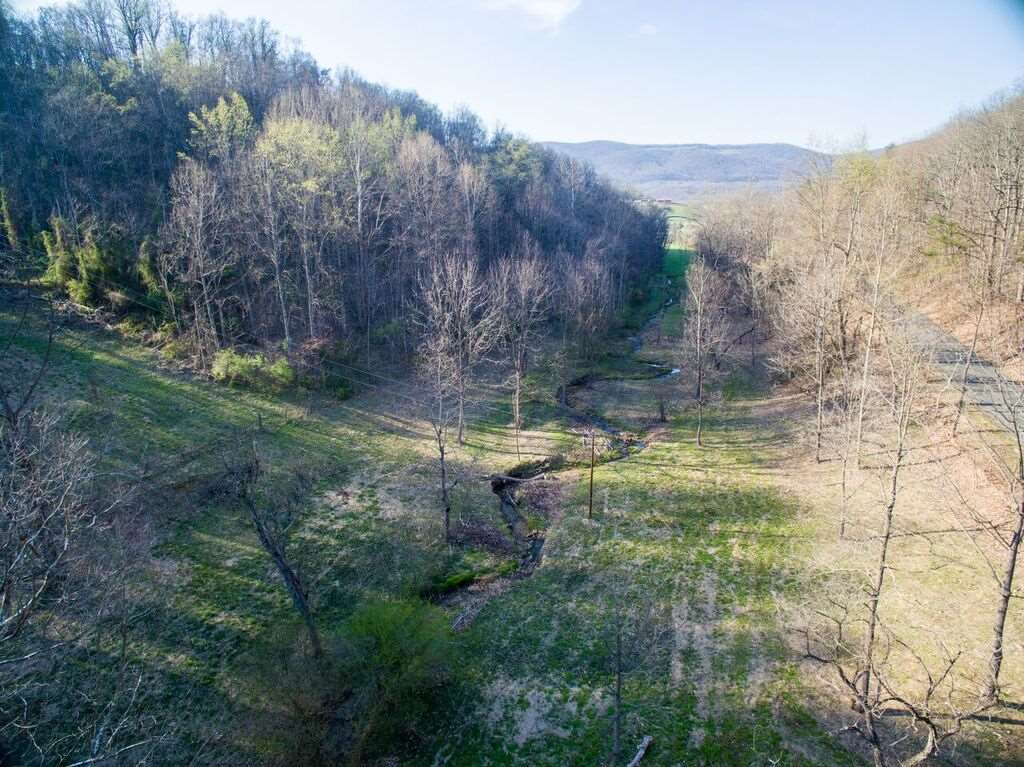 8907 Dick Woods Road Afton, VA 22920 - Photo 6 of 19 a view of a backyard of a house
