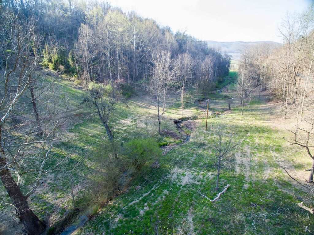 8907 Dick Woods Road Afton, VA 22920 - Photo 7 of 19