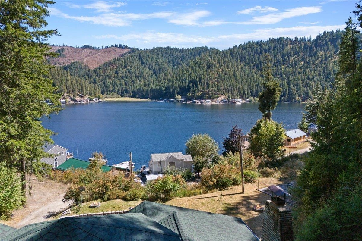 4075 North Deer Lake Road Loon Lake, WA 99148 - Photo 36 of 49 Gallery Image 36