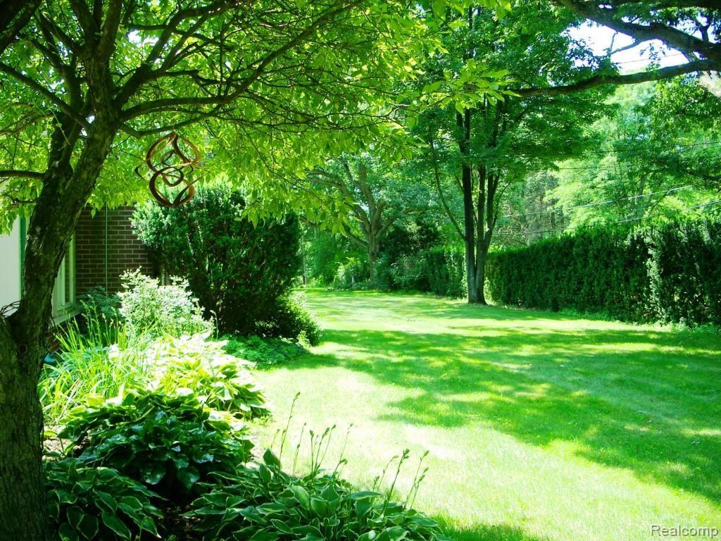 Back Yard View