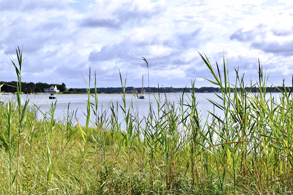 498 A Point Road Marion, MA 02738 - Photo 12 of 12 a view of a lake with a big yard